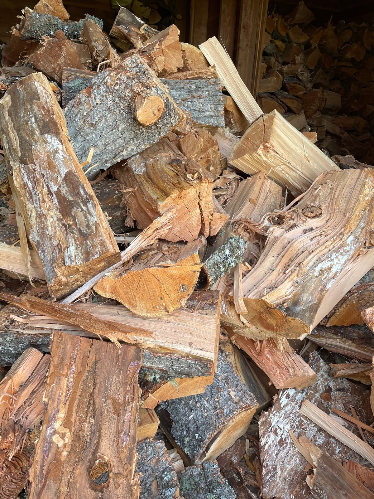 Online Fuelwood Permits Make Stocking up Winter Firewood Easy, Affordable