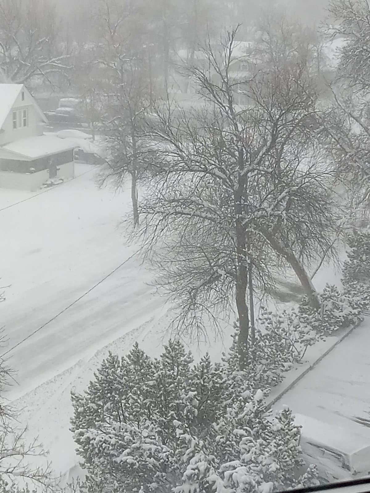 Winter Finally Arrives in Time for St Patrick's Day Parade