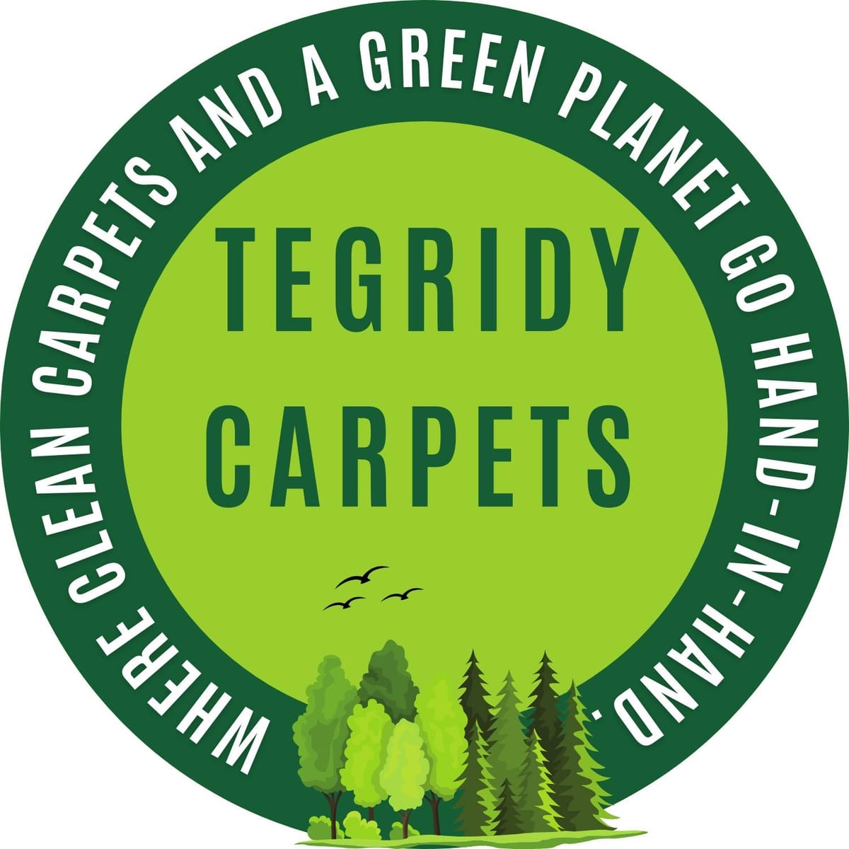 Tegridy Carpet Cleaning LLC Providing Quality Cleaning Services in Great Falls