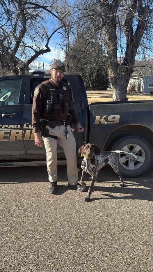 Making a difference! Drug arrest and seizure.