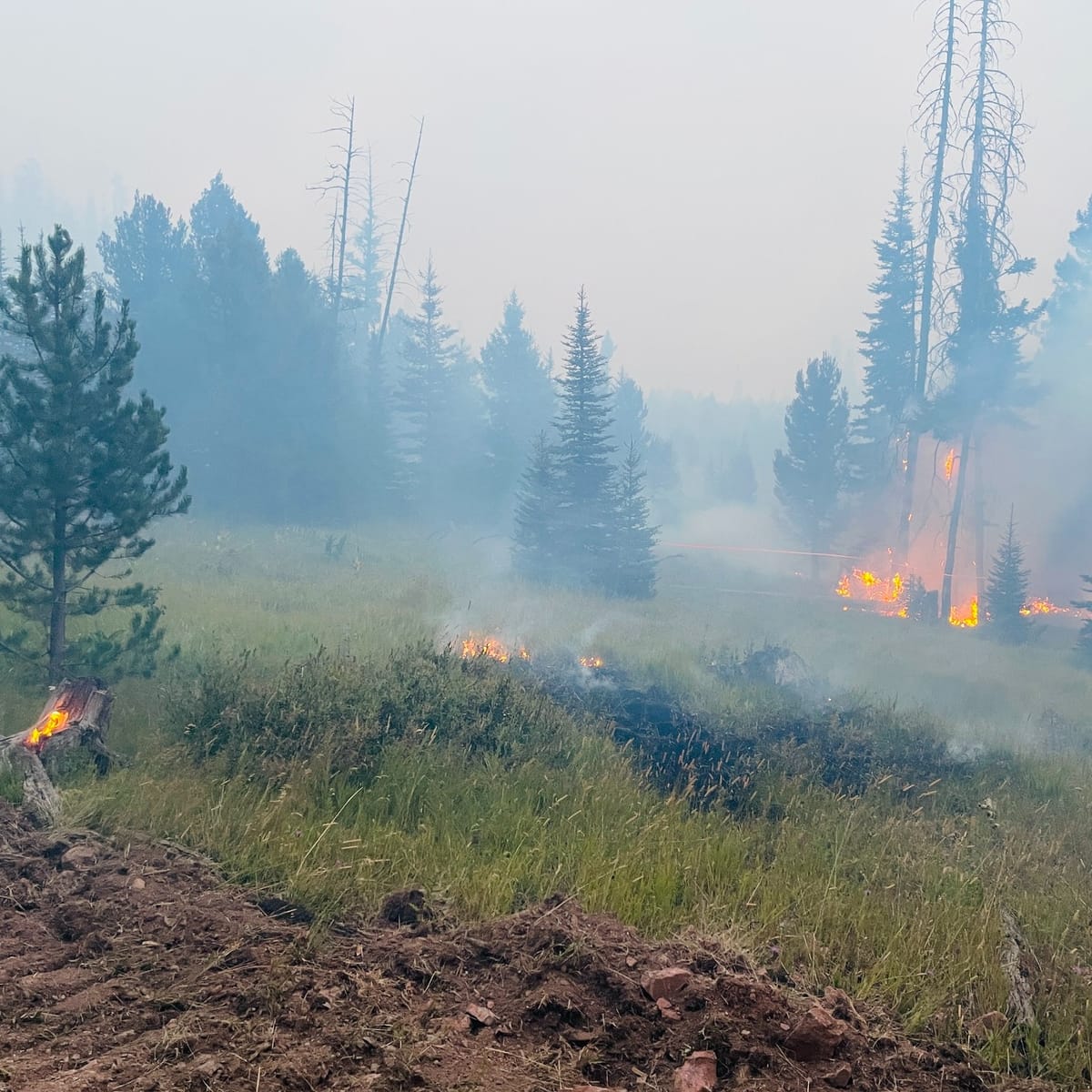Firewatch Continues with Windy Rock Fire and Knowles Fire