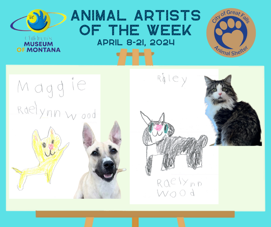 Paws for Art: Artist of the Week