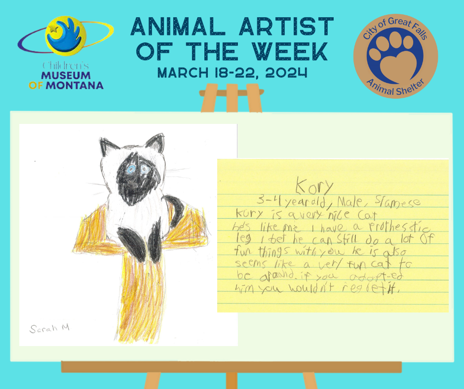 Paws For Art: Children's Museum and Great Falls Animal Shelter Artist of the Week