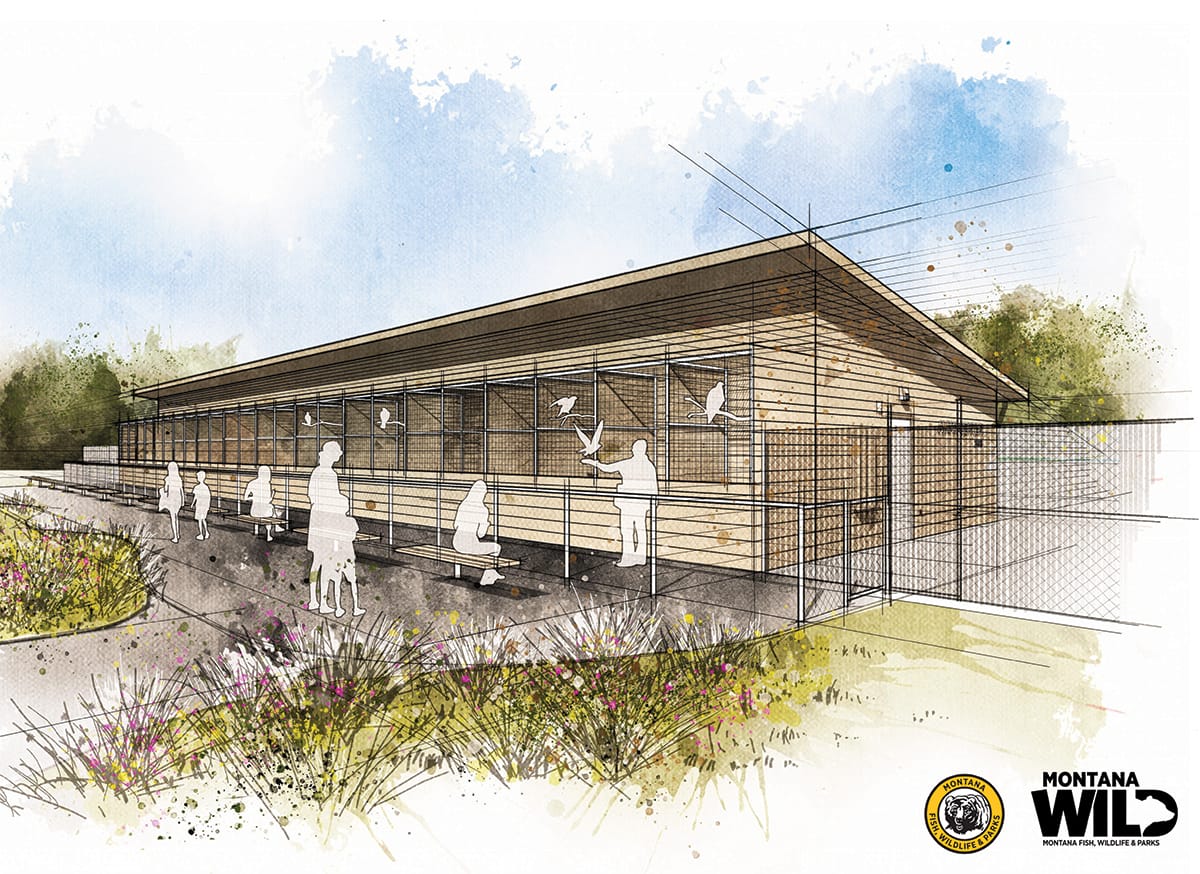 New Avian Education Facility Slated for Fall Construction at Montana WILD