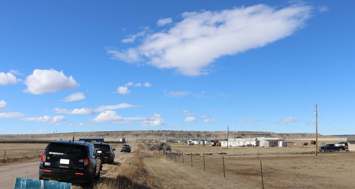 Neglected Horses Rescued from Cascade County Property