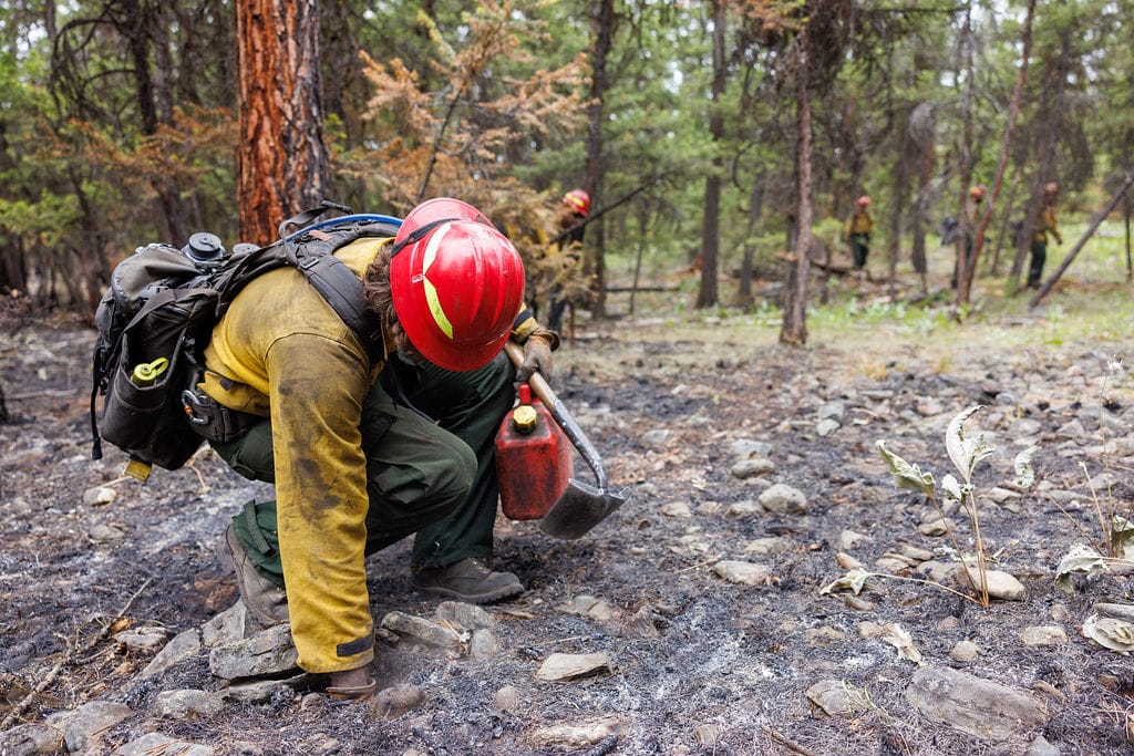 Montana Firewatch Continues for June