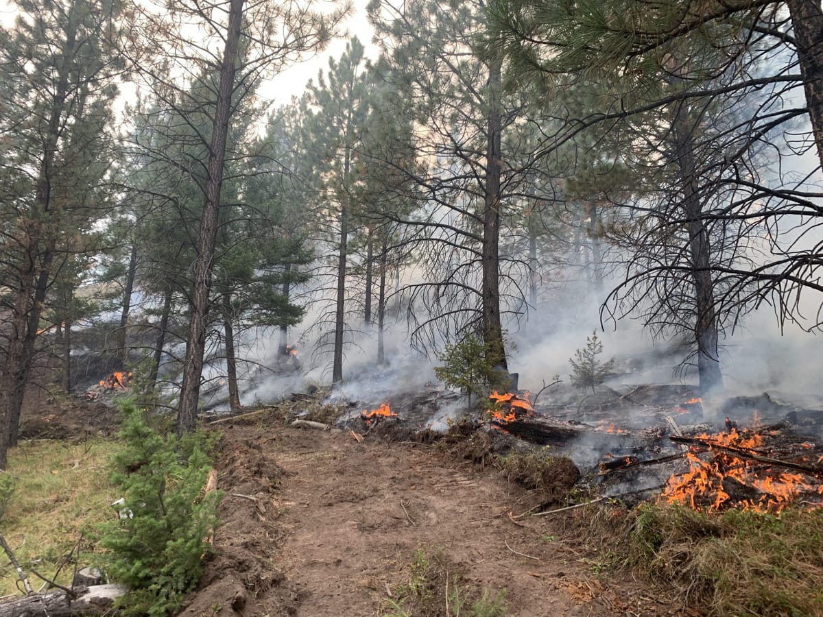 Montana Firewatch Update August 27th