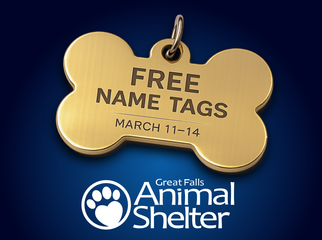 Free Pet Name Tags Offered After High Winds
