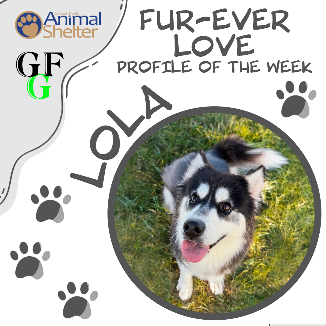 Fur-Ever Love - Lola