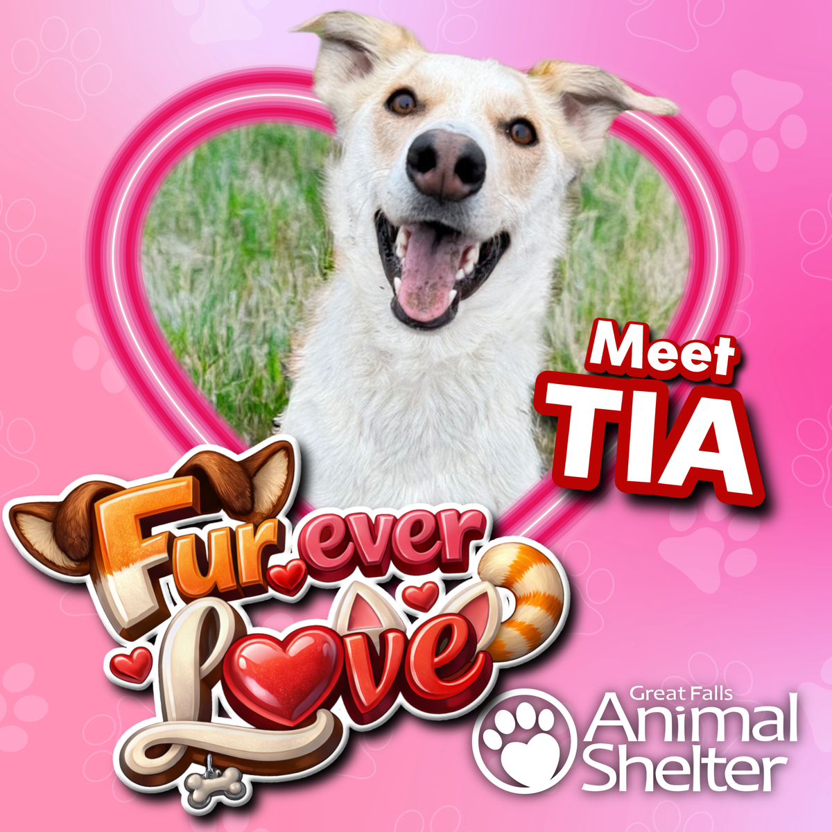 Fur-Ever Love - Tia