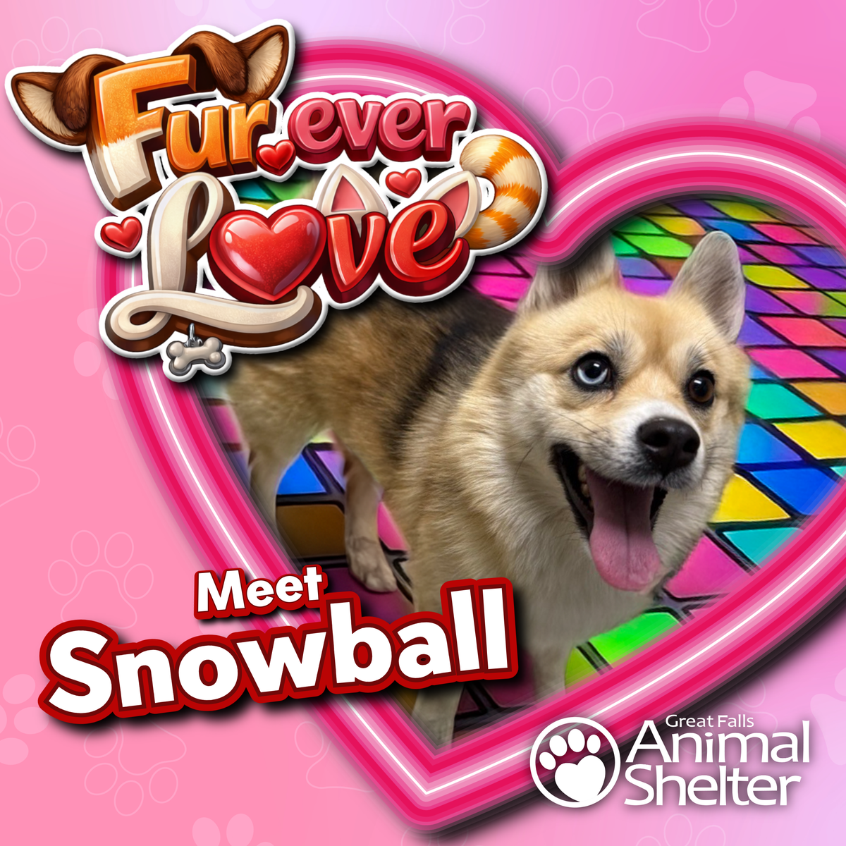 Fur-Ever Love - Snowball