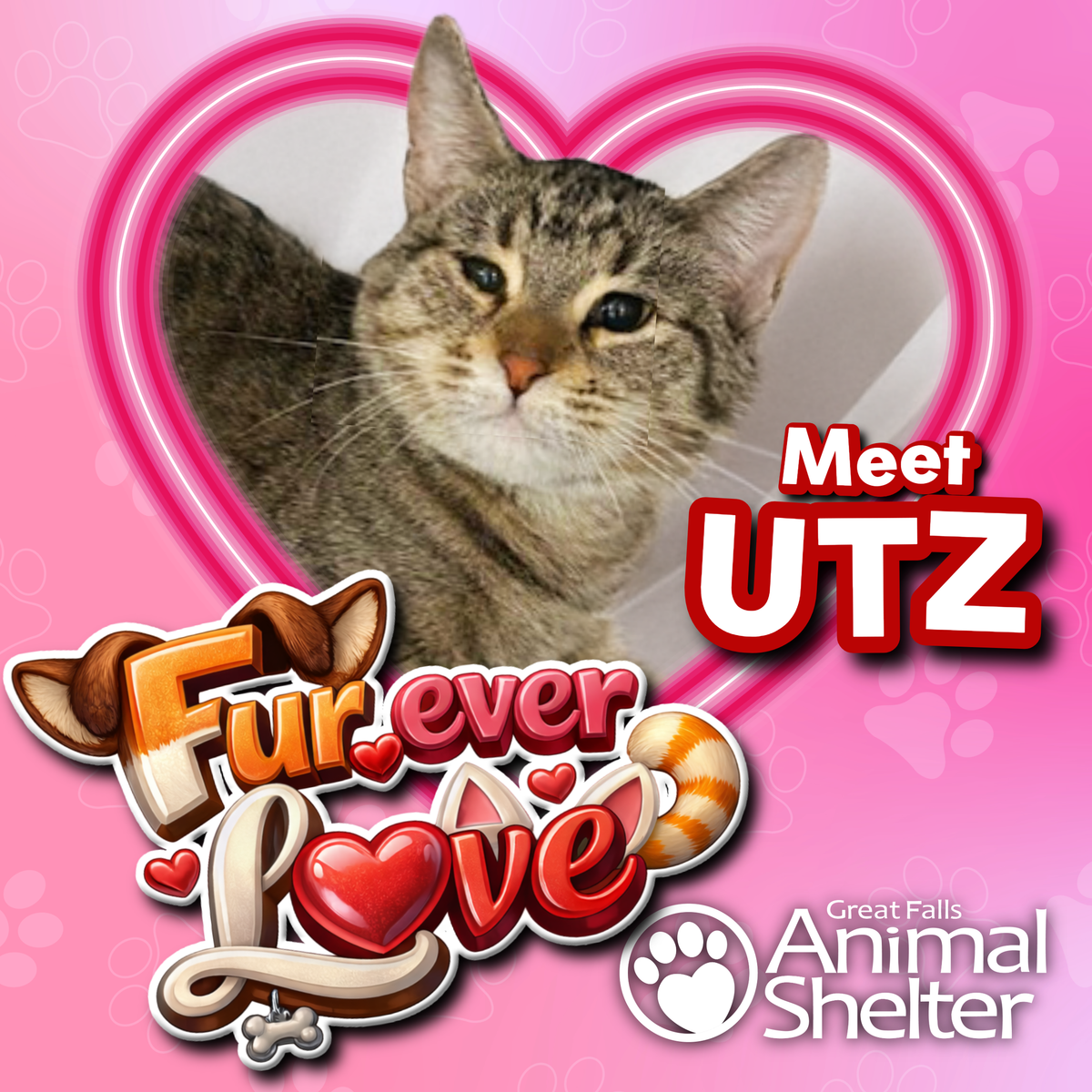 Fur-Ever Love - Utz