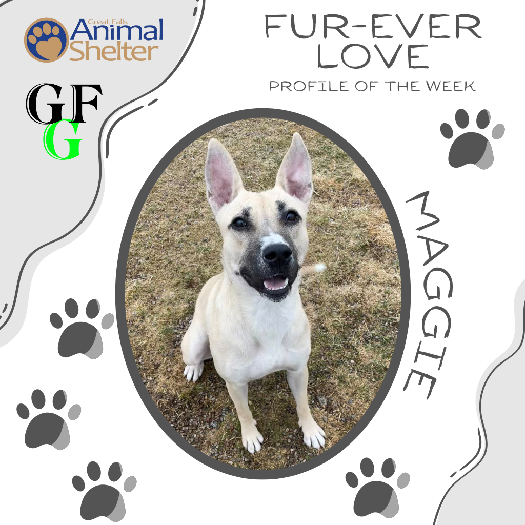 Fur-Ever Love - Maggie