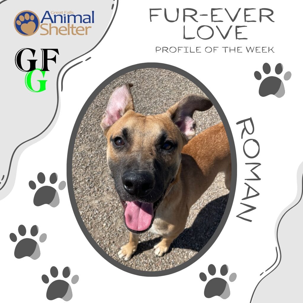 Fur-Ever Love - Roman