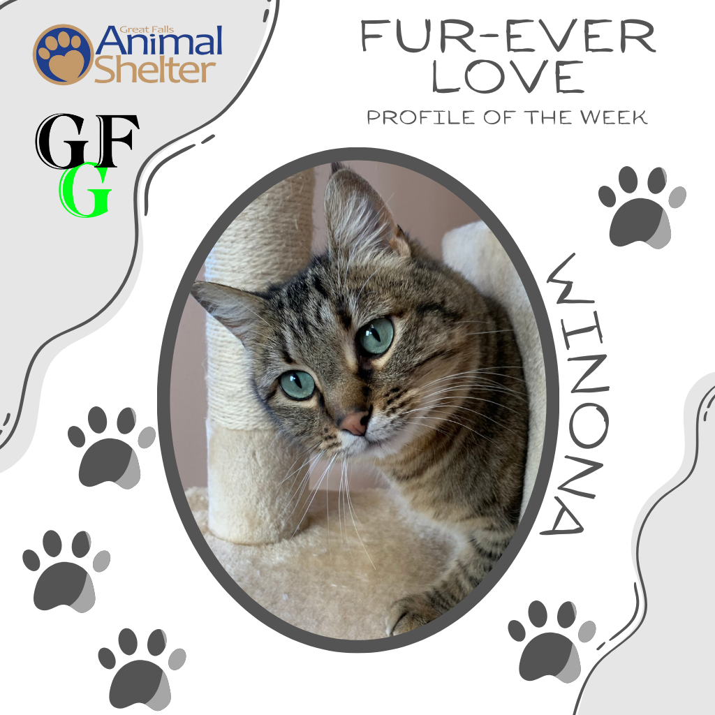 Fur-Ever Love - Winona