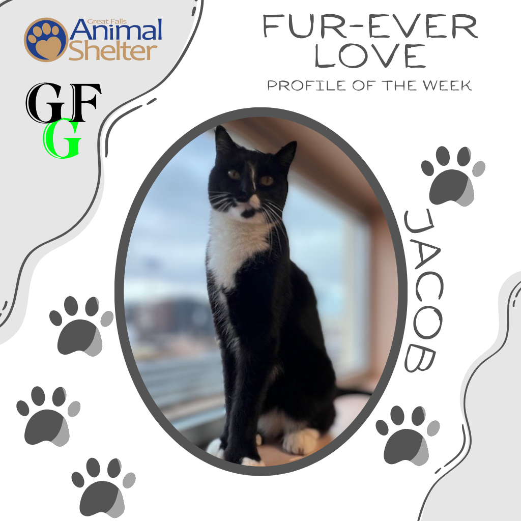 Fur-Ever Love - Jacob