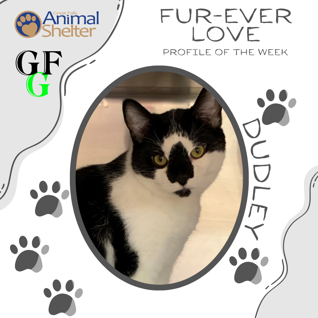 Fur-Ever Love - Dudley