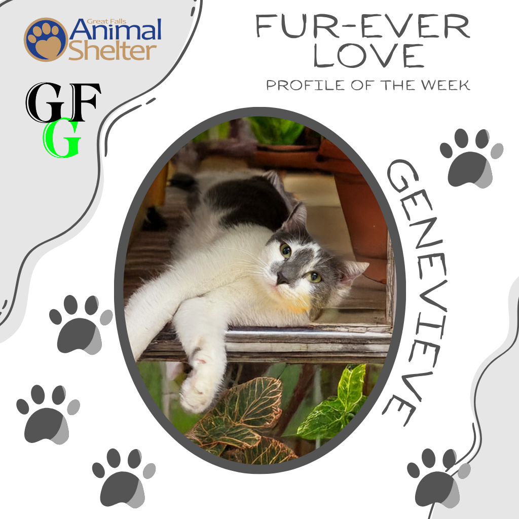 Fur-Ever Love - Genevieve
