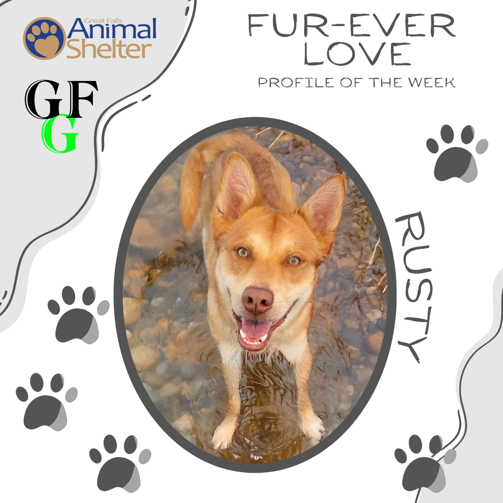 Fur-Ever Love - Rusty