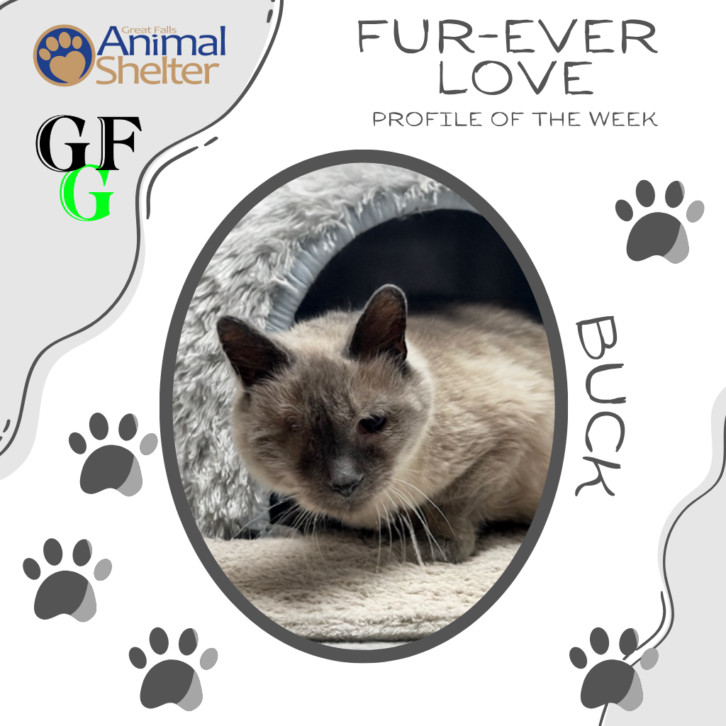 Fur-Ever Love - Buck