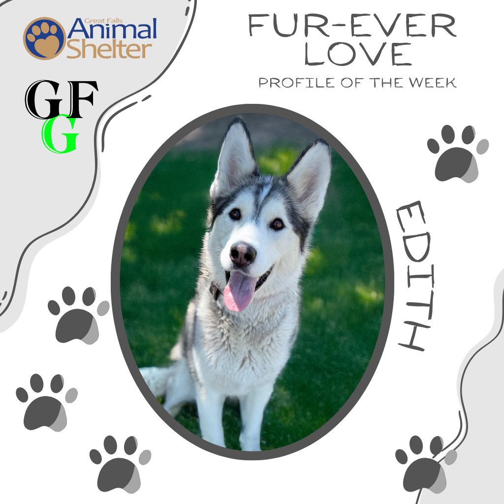 Fur-Ever Love - Edith