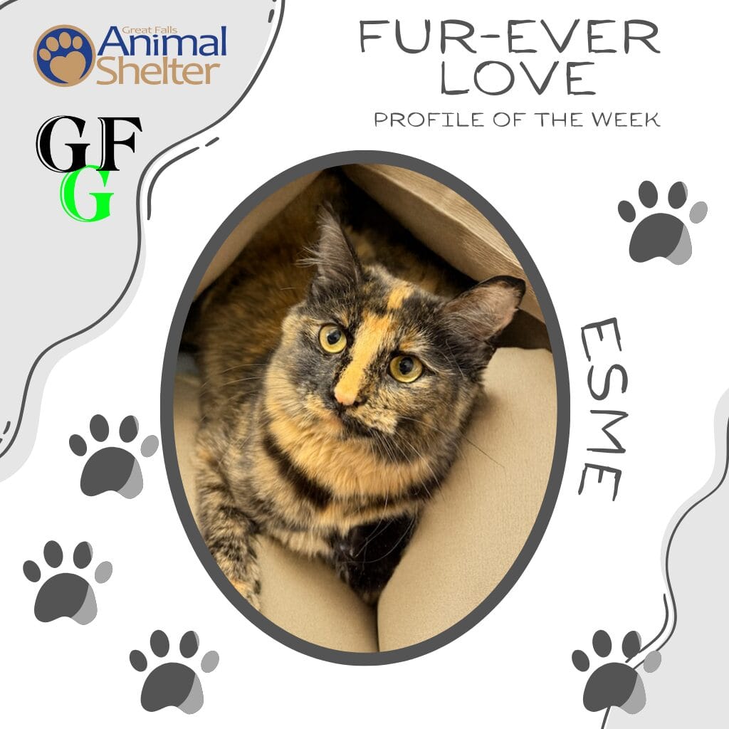 Fur-Ever Love - Esme