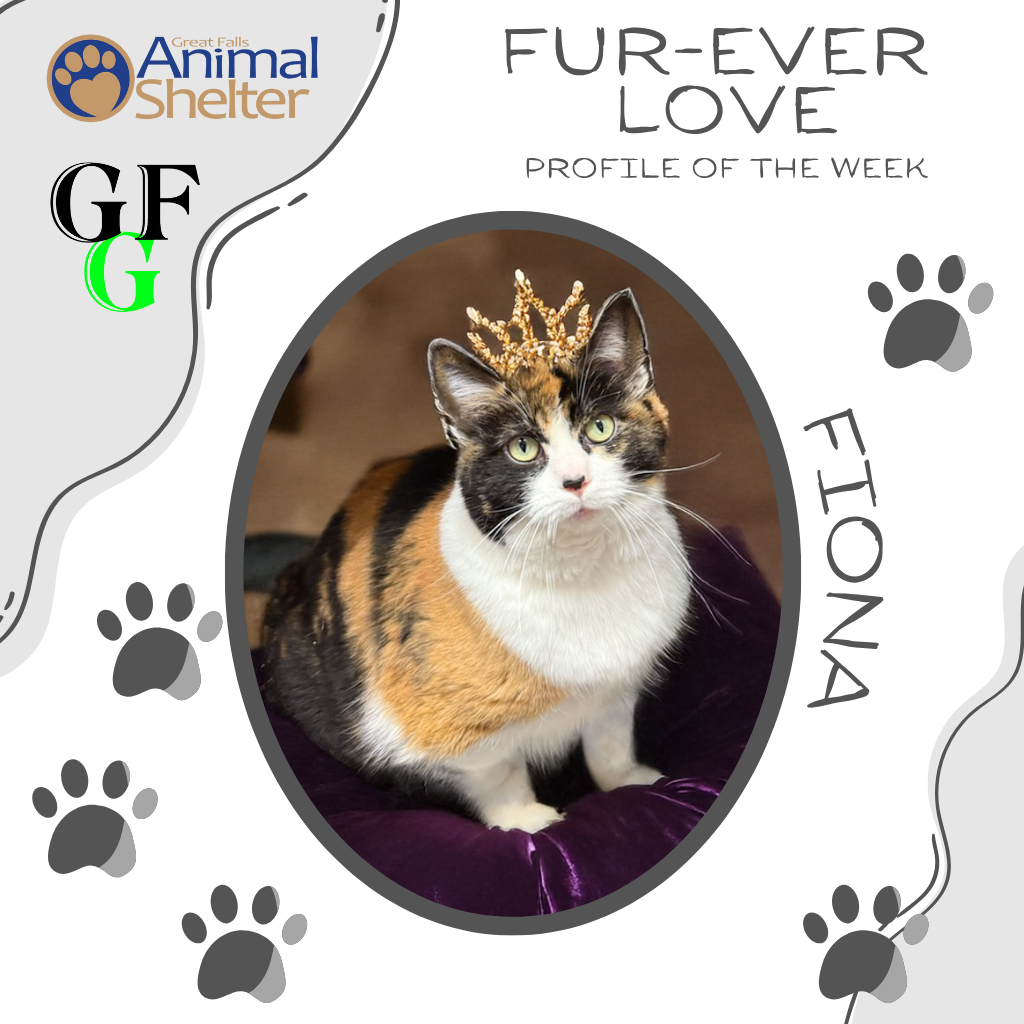 Fur-Ever Love - Fiona