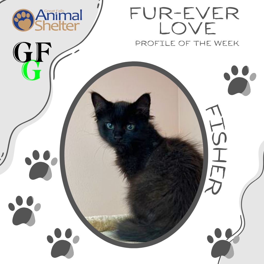 Fur-Ever Love - Christie