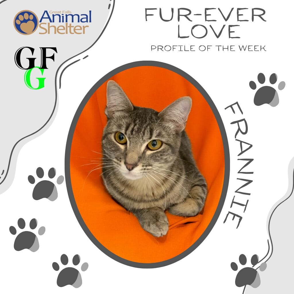 Fur-Ever Love - Frannie