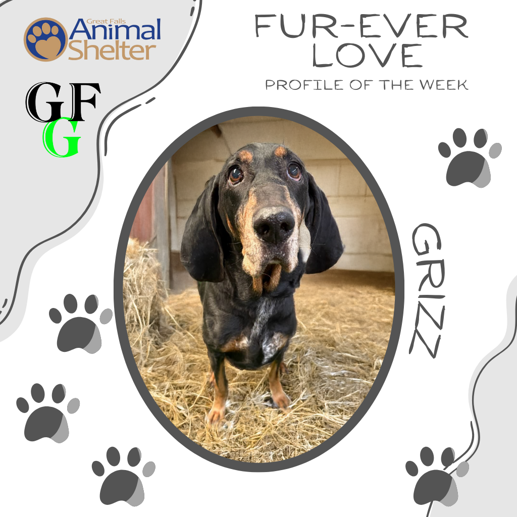 Fur-Ever Love - Grizz