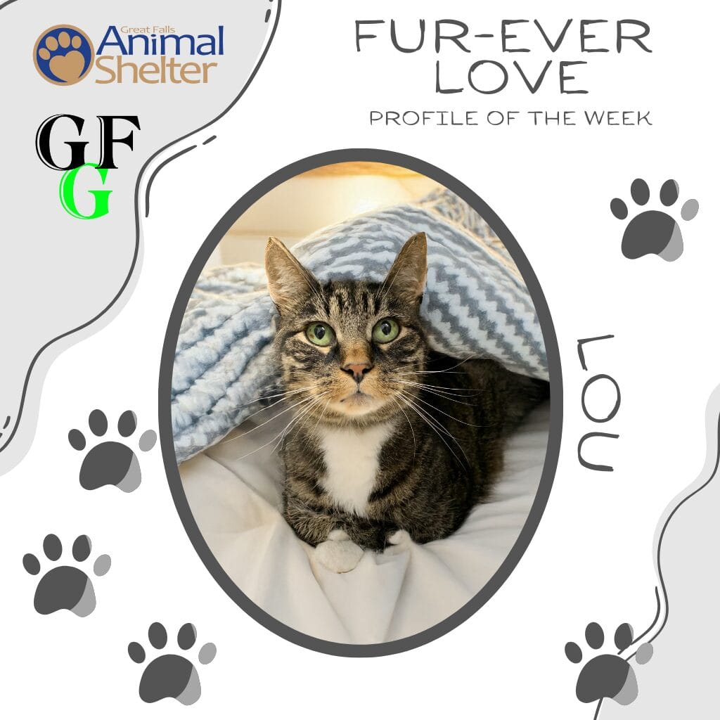 Fur-Ever Love - Big Lou