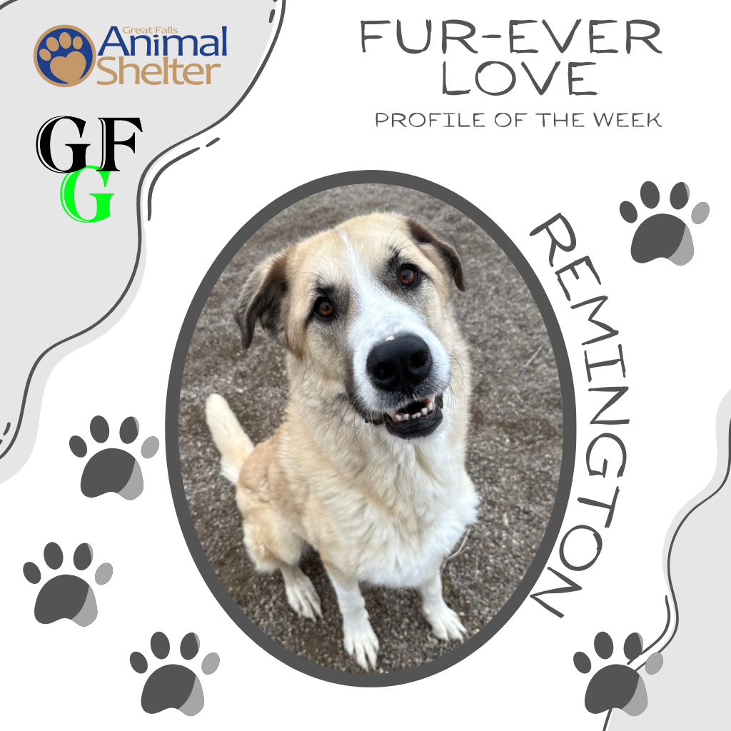 Fur-Ever Love - Remington