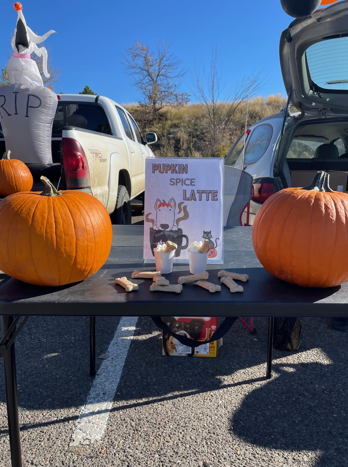 Five Beans Pet Care Co-Hosts With Big Sky Animal Medical Center for Second Annual Lick or Treat