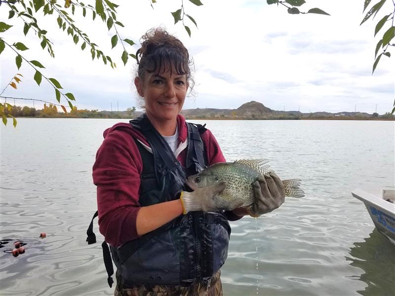 Miles City Hatchery Works to Rebuild Crappie Populations at Tongue River Reservoir