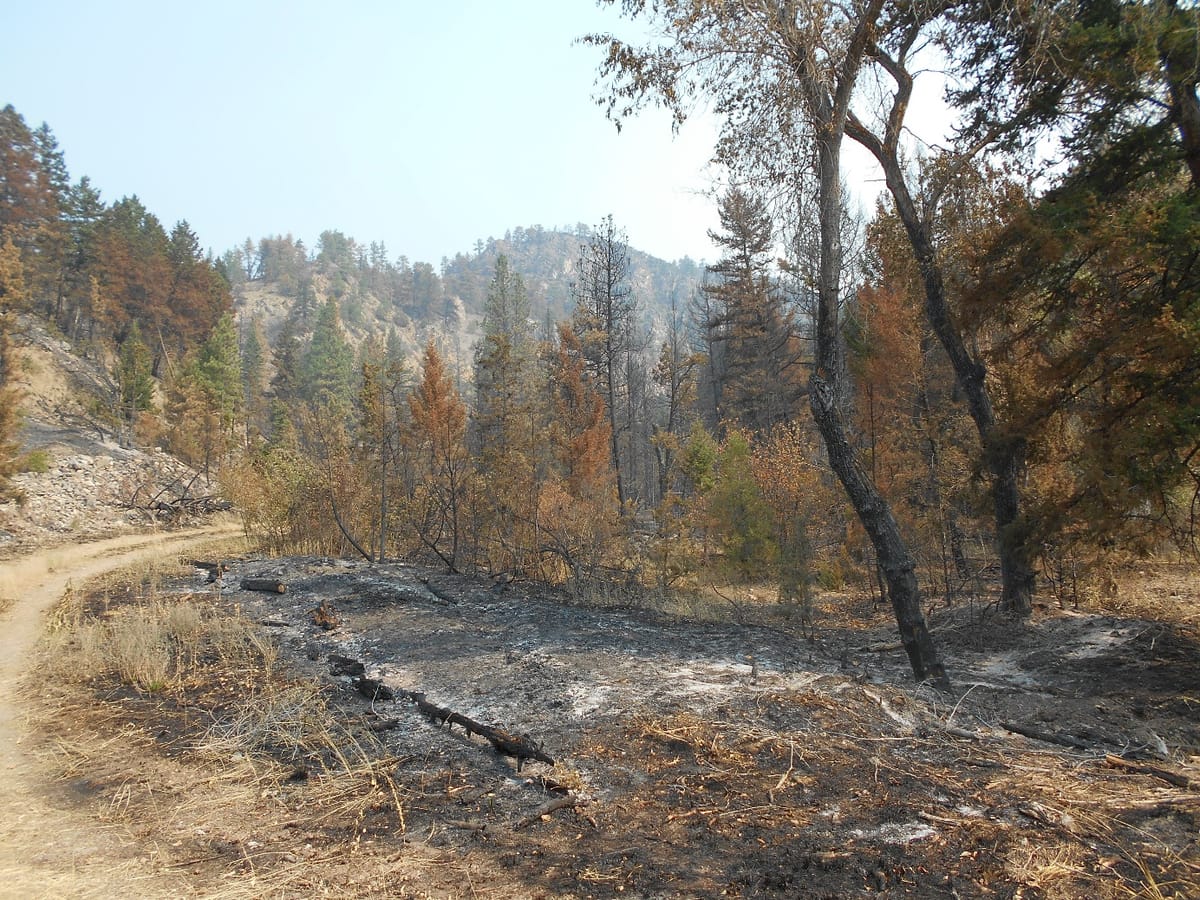 Residents Reminded to Prepare for Flood After Fire