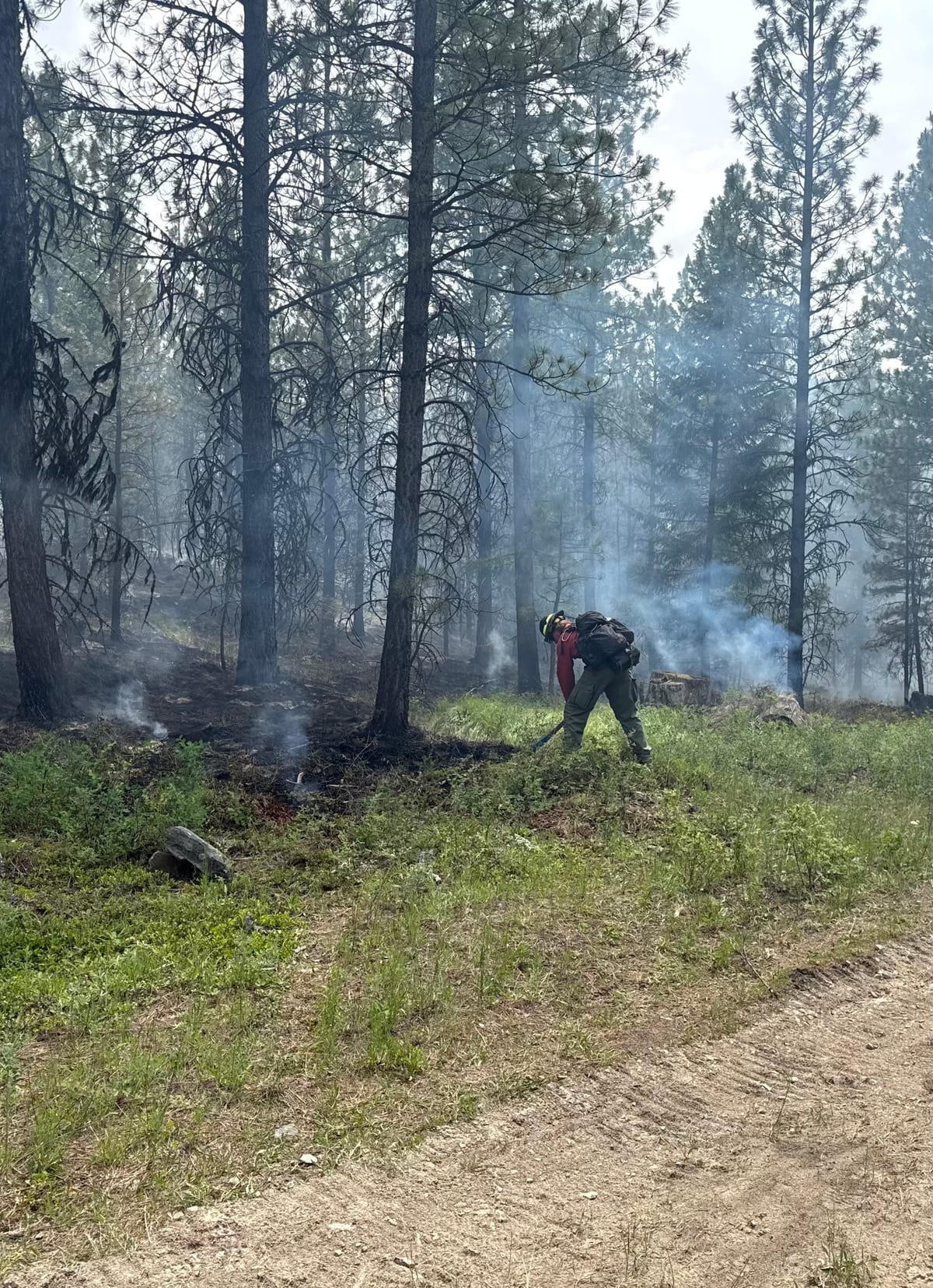 Montana Firewatch - Wolf Syrup Fire