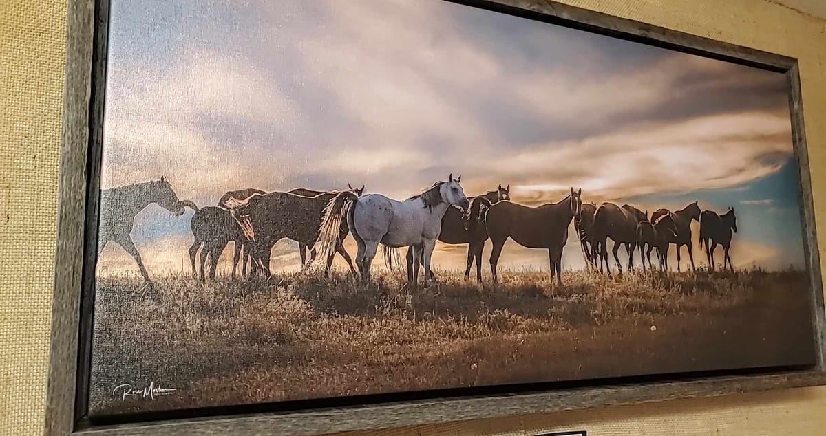 Latigo & Lace Artist Showcase - Ross Mosher