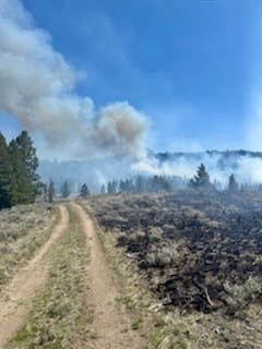 Fire Season 2025 Begins with the Sawlog Fire