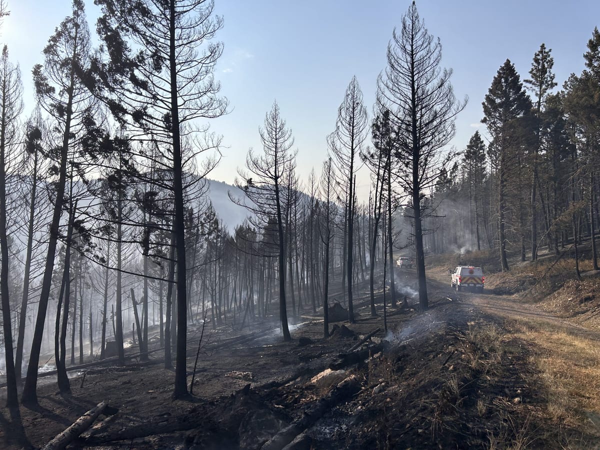 Montana Firewatch Update August 13th