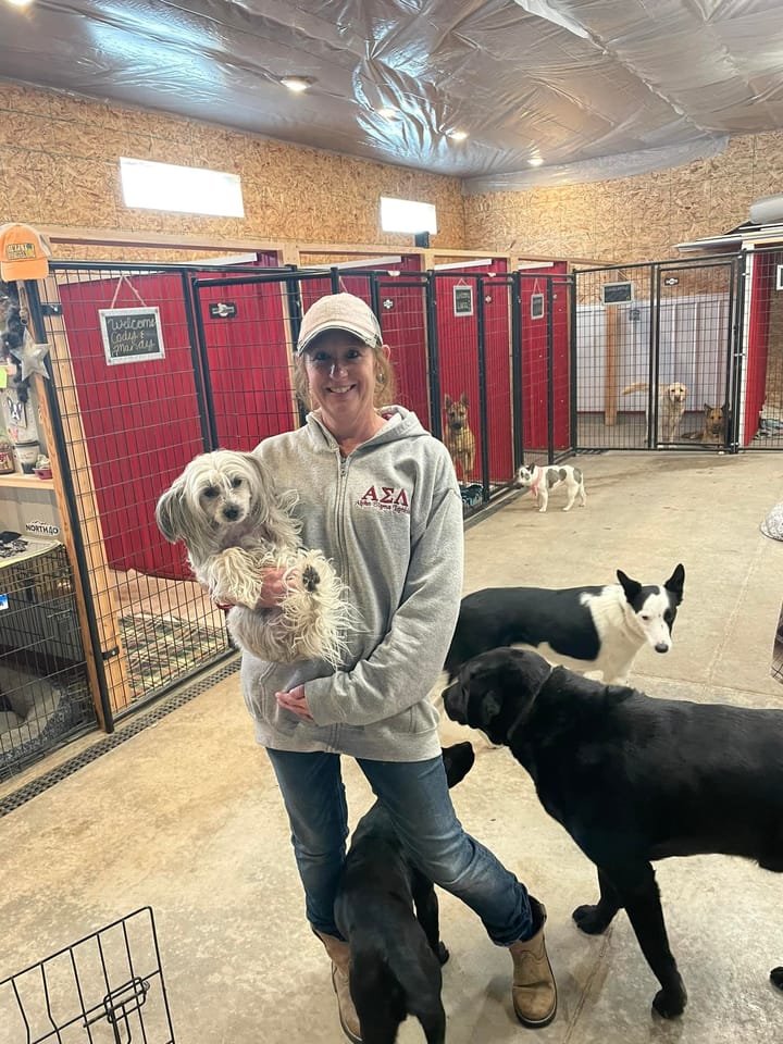 Lazy Dogz LLC Doggy Daycare and Grooming in Vaughn