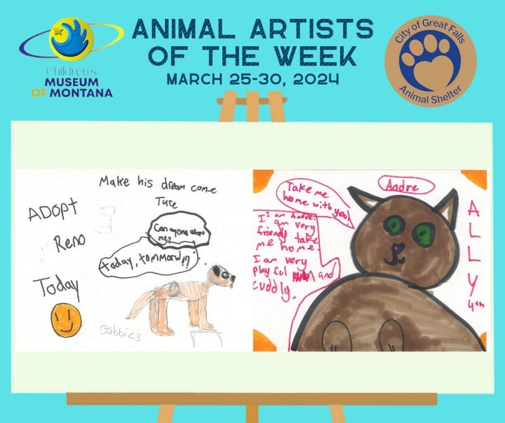 Paws For Art: Artist of the Week