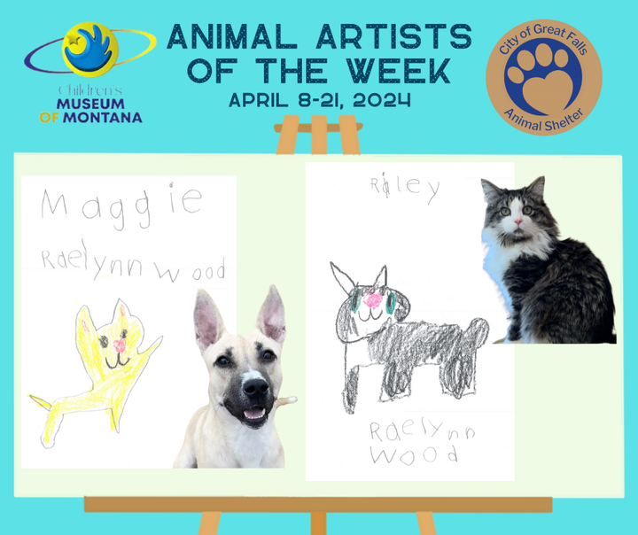Paws for Art: Artist of the Week