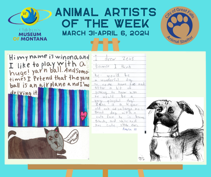 Paws For Art: Artist of the Week