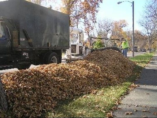 Annual Fall Leaf Pickup Program