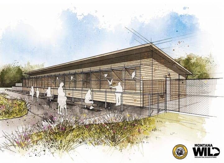 New Avian Education Facility Slated for Fall Construction at Montana WILD