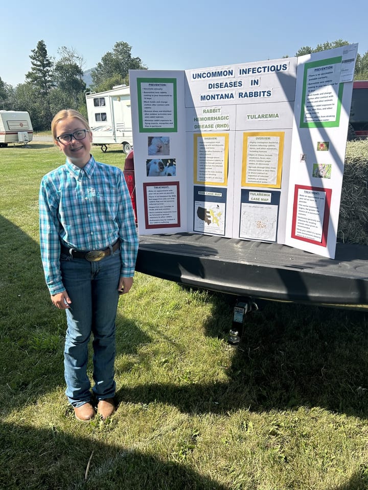 Augusta Livestock 4-H Club Attends Lewis & Clark County 4-H Fair