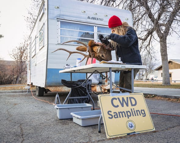 Sampling the Work Day of a CWD Technician