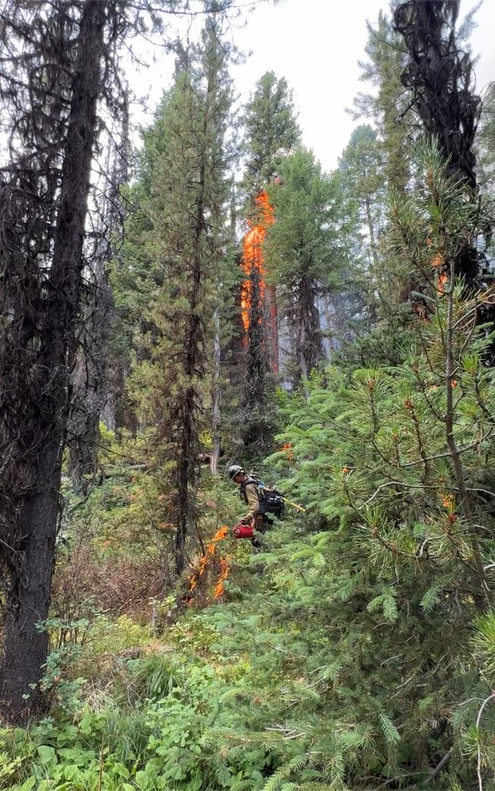 Montana Firewatch Update August 6th
