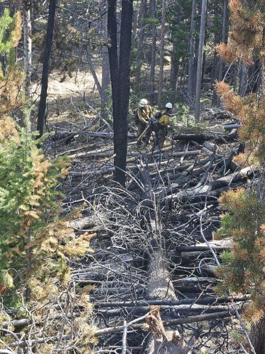 Fire Watch Continues with Sawlog Fire