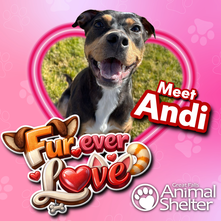 Fur-Ever Love - Andi